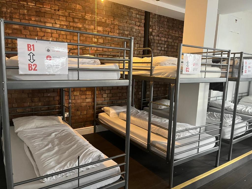 Foto - The Walrus Bar and Hostel