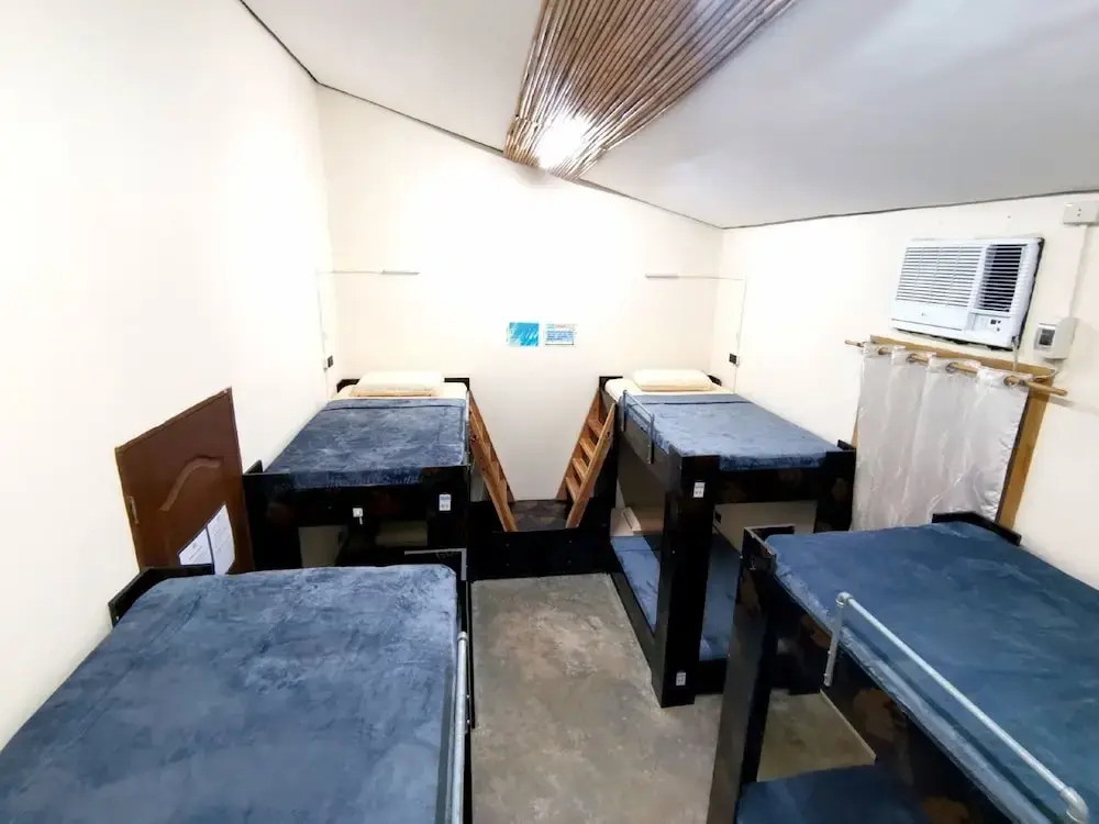 Foto - Big Paul Hostel