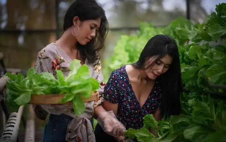 Foto - Alam Kawi Ubud Resort & Spa By Island Escape