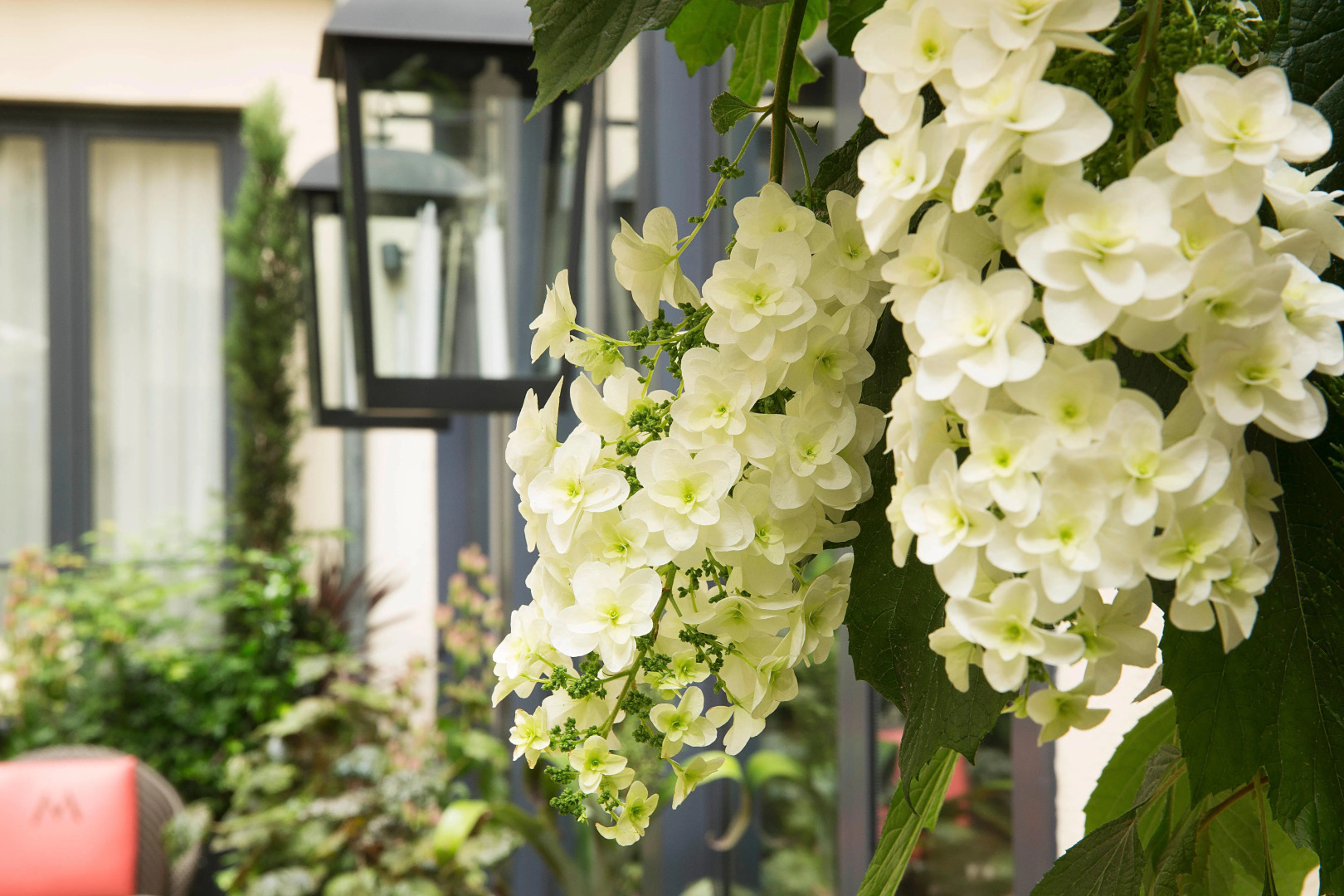 Foto - Hôtel Villa Madame - Saint-Germain-des-Prés