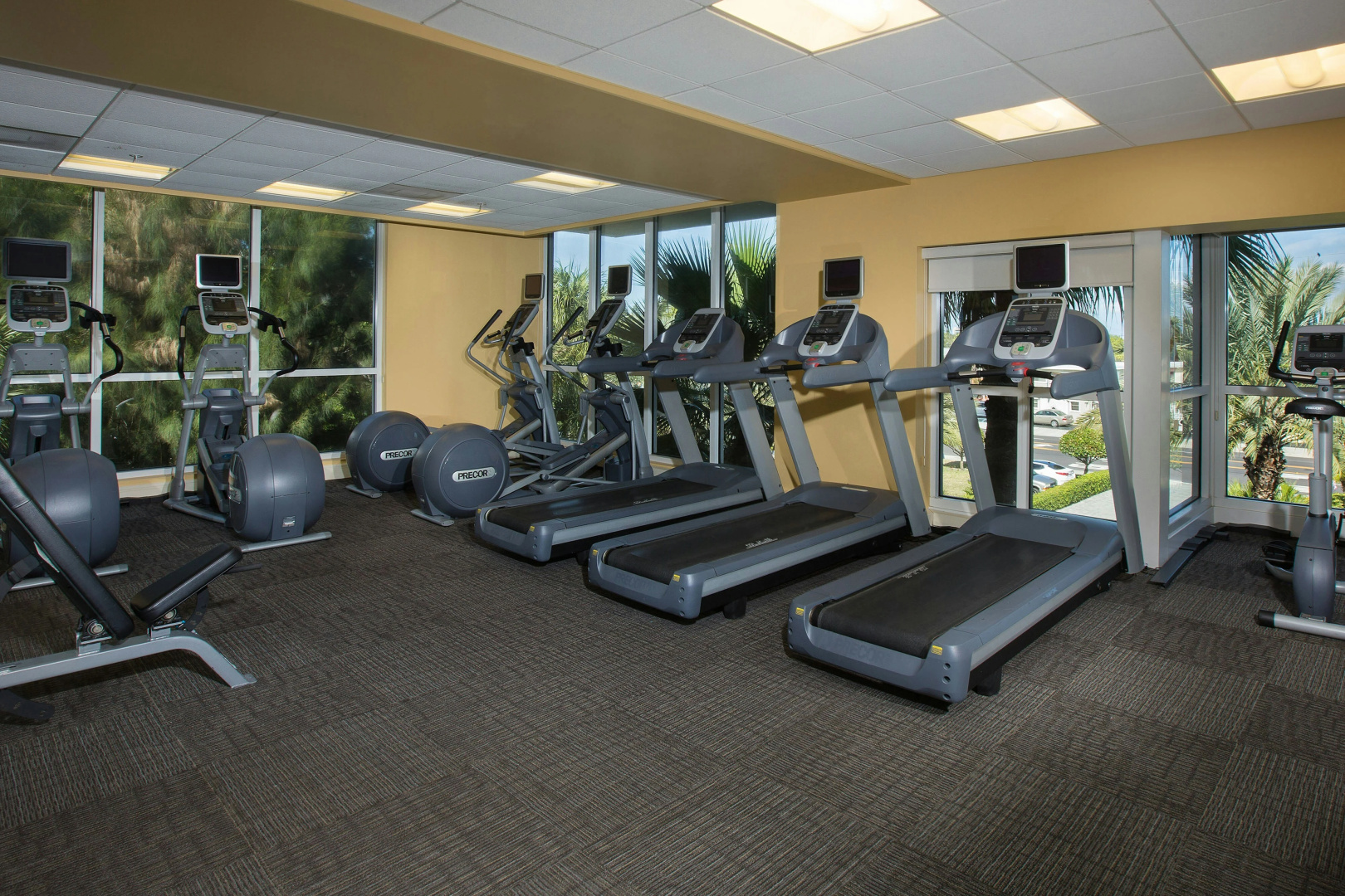 Foto - Residence Inn St Petersburg Treasure Island