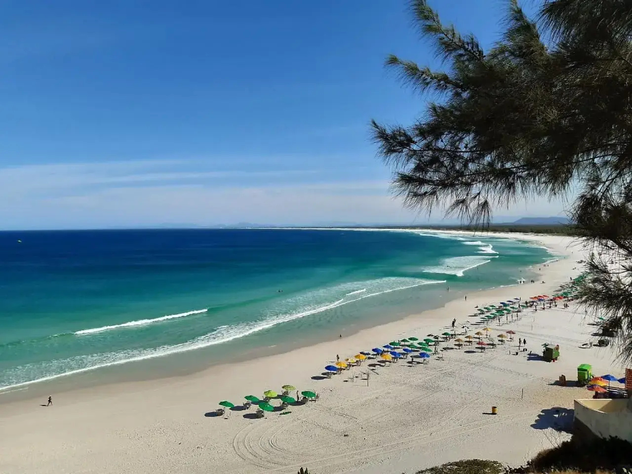 Foto - Samba Bossa Nova Cabo Frio