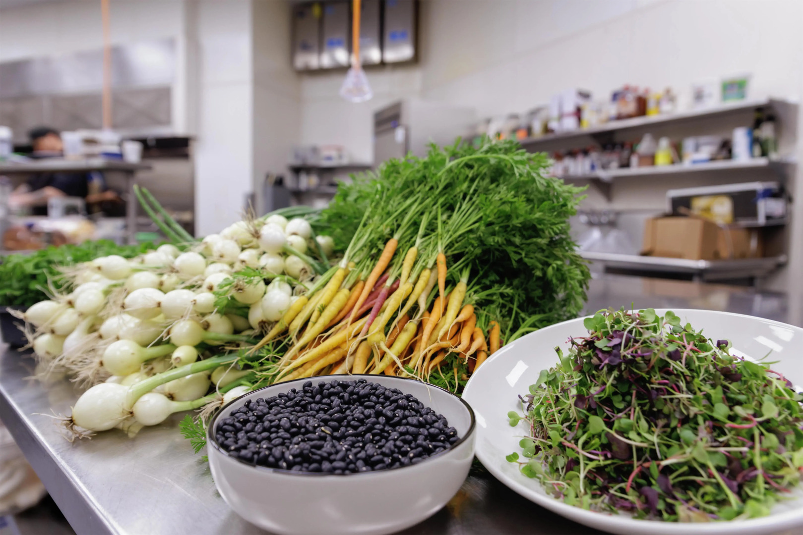 Photo - Hyatt Centric Chicago Ohare