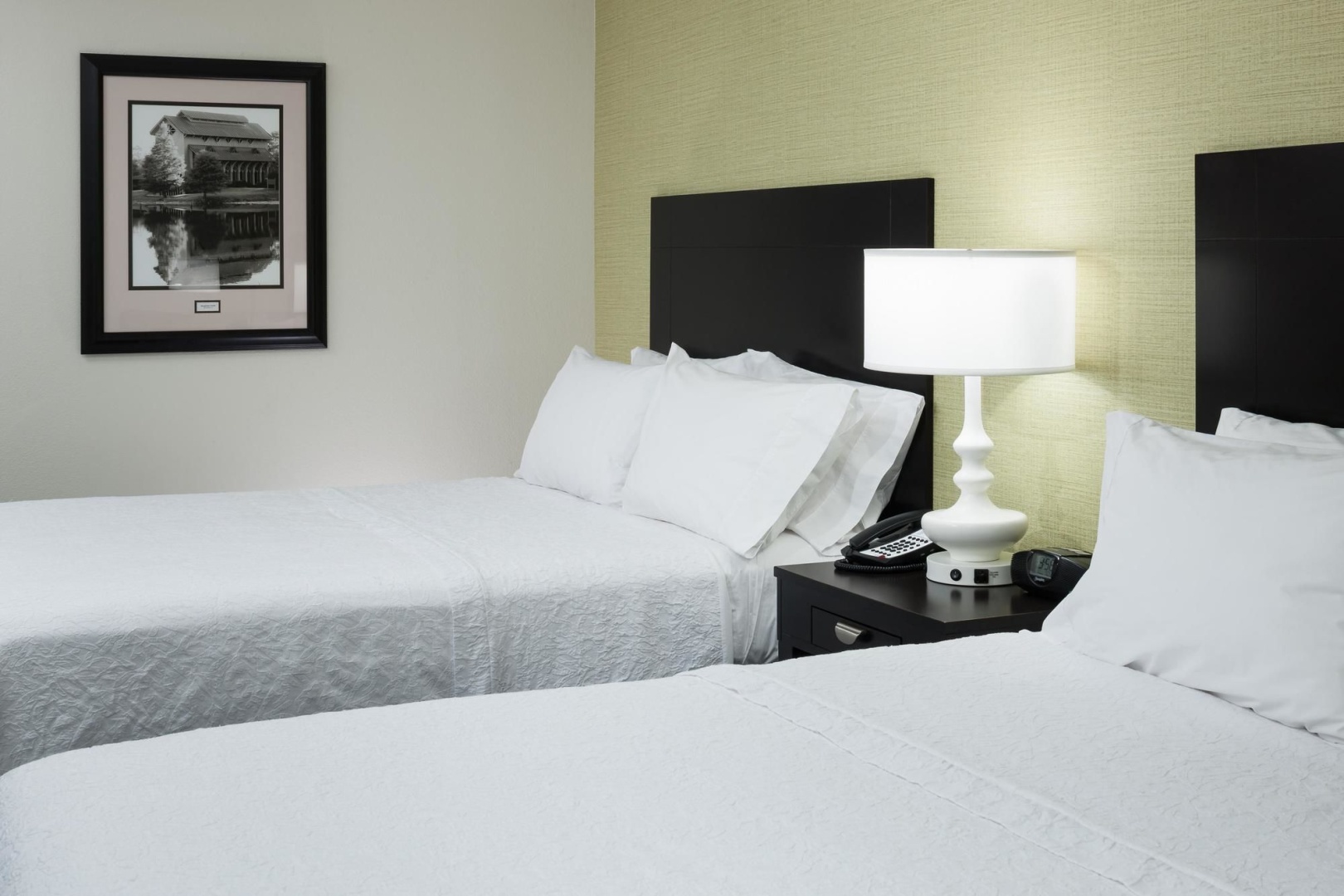 Foto - Hampton Inn & Suites Gainesville-Downtown