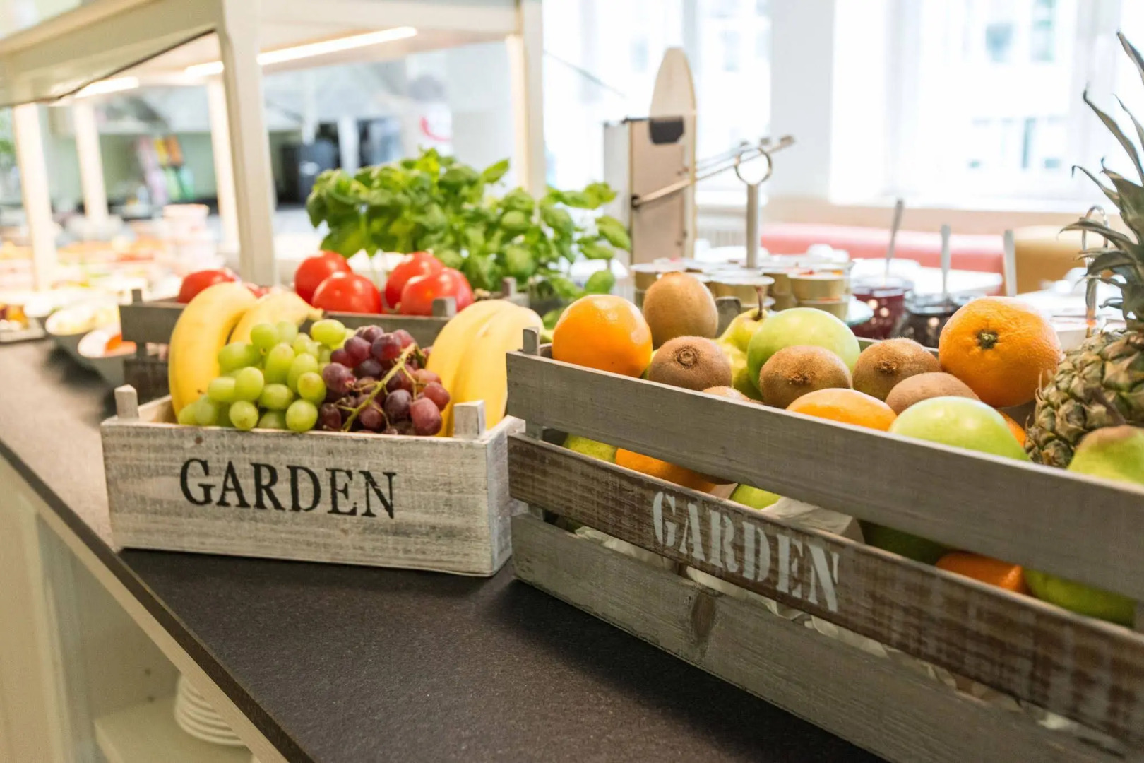 Foto - Hotel Stella Maris