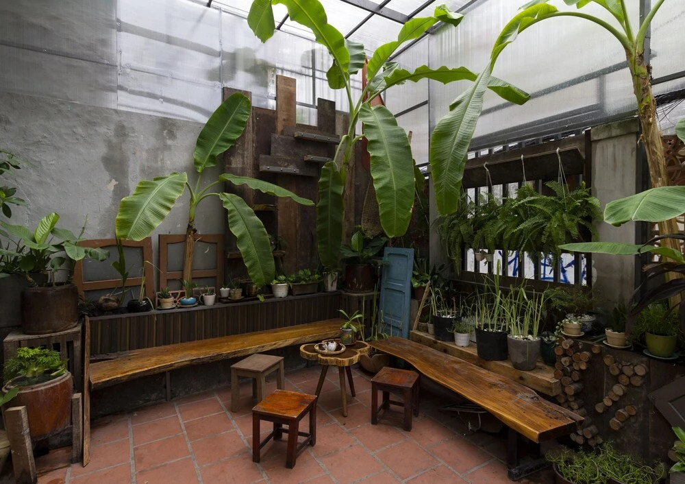 Foto - Coucou Homestead I - Homestay & Dorm District 1