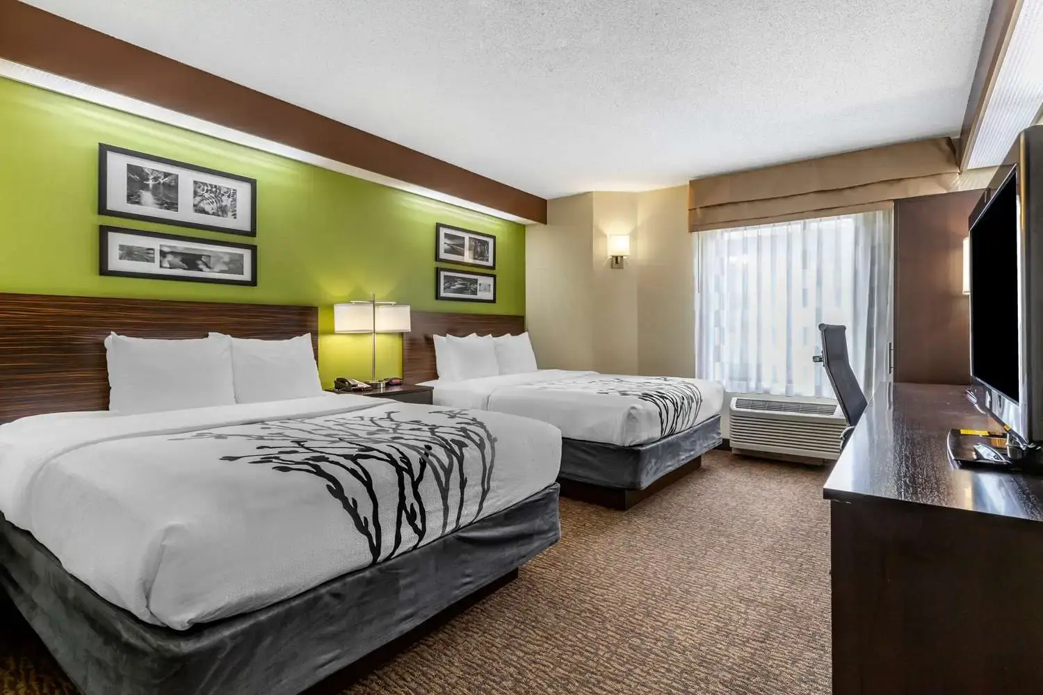 Foto - Sleep Inn Matthews-Charlotte