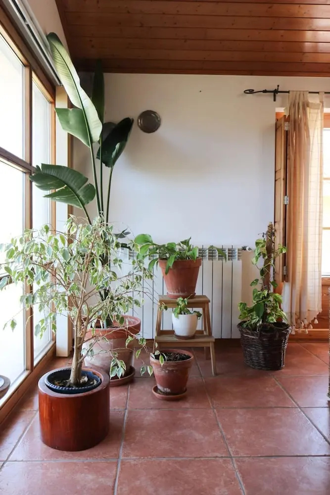 Foto - Quinta Amarela