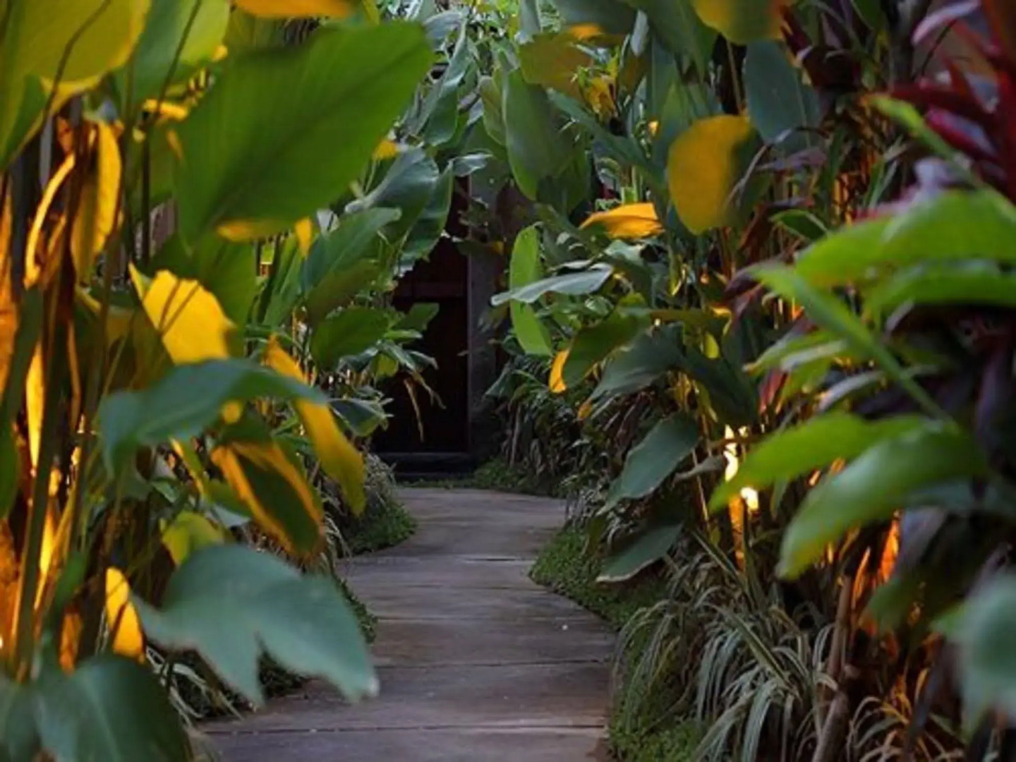 Foto - Seminyak Icon - by Karaniya Experience - CHSE certified