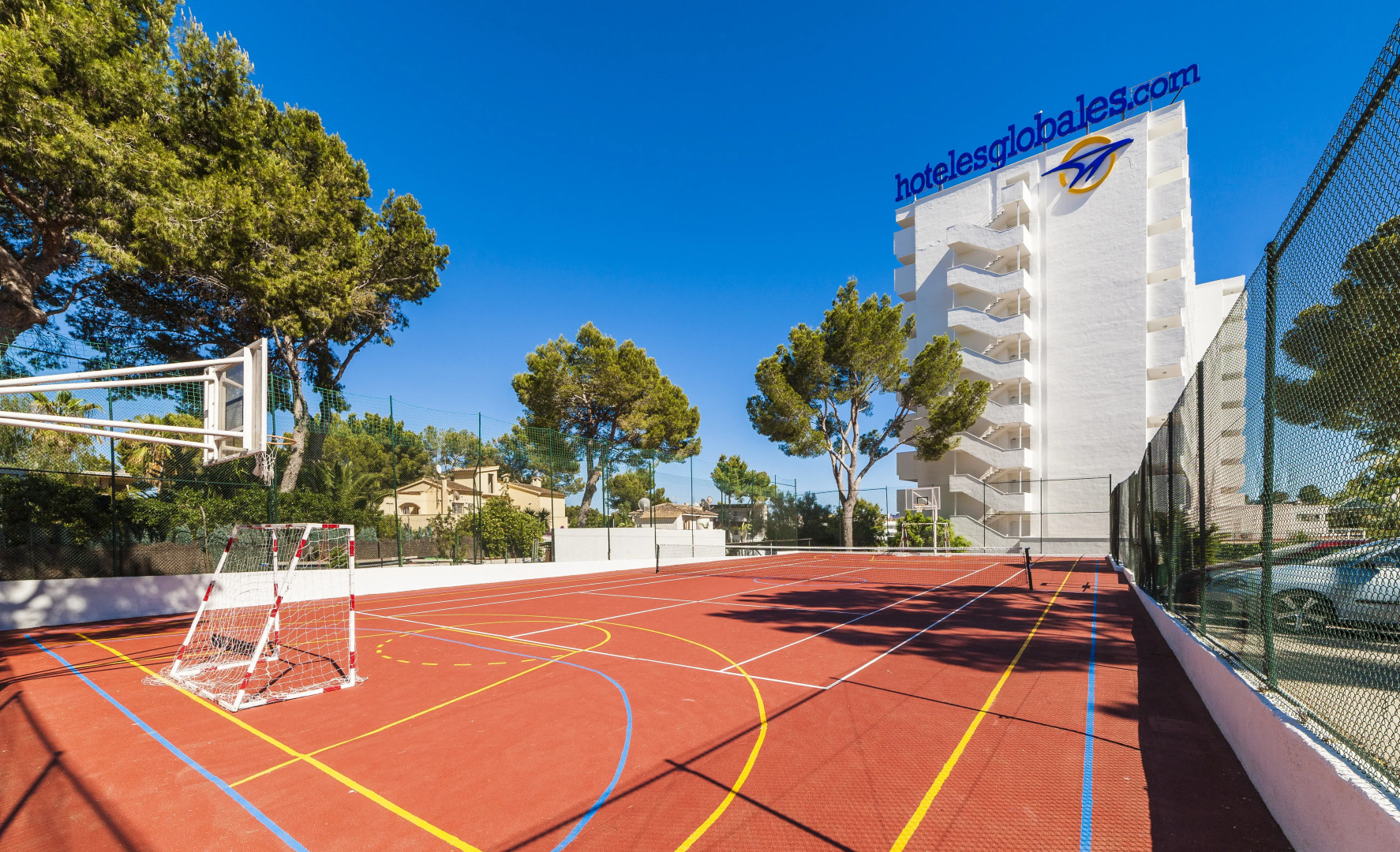 Foto - Globales Mimosa