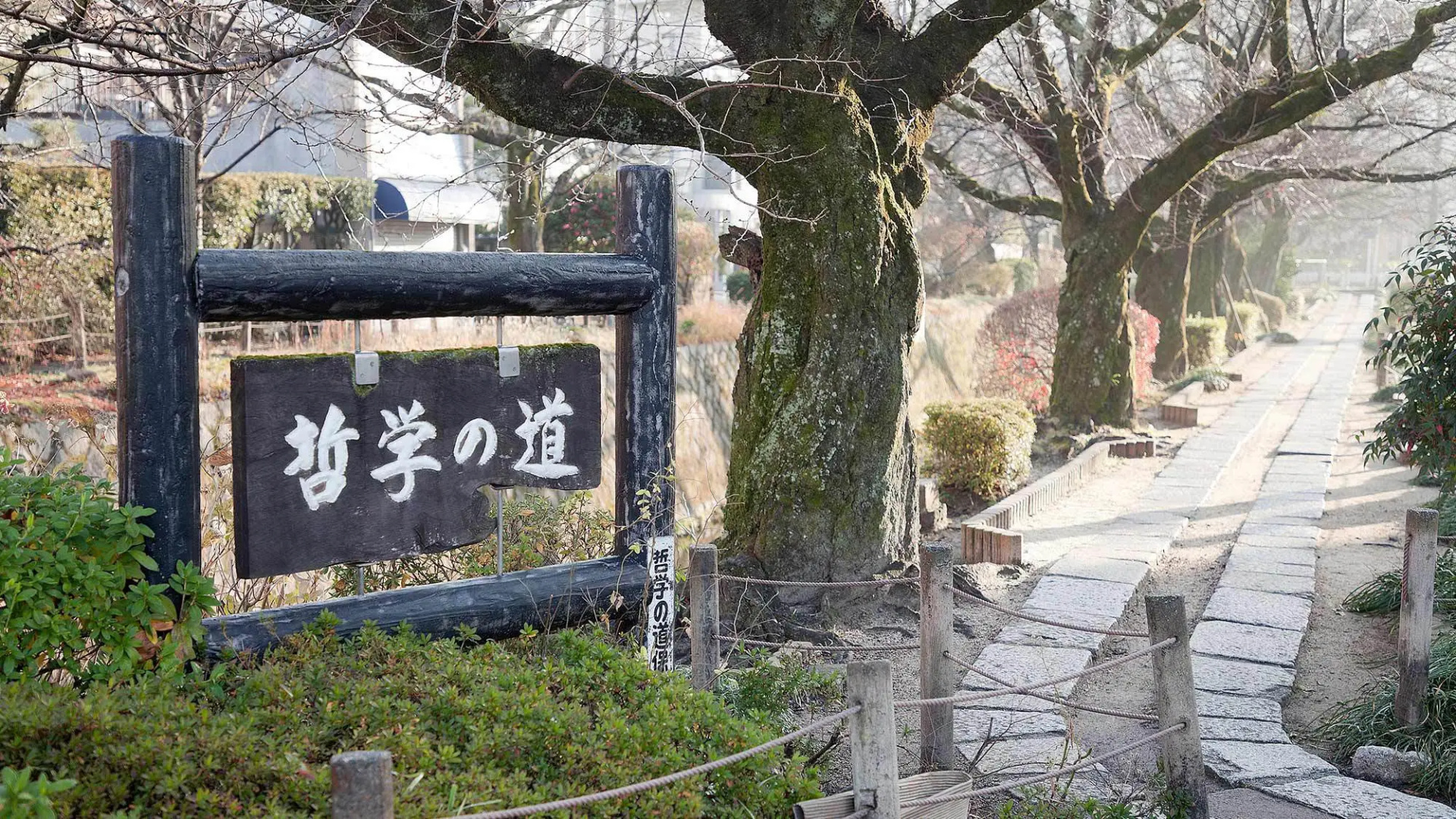 Photo - Guest House Aoi Nakamoto