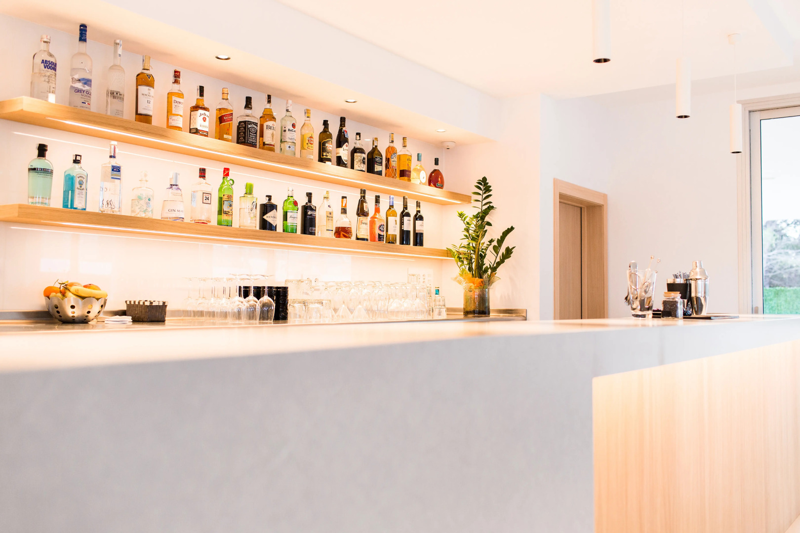 Foto - Petit Sagitario Adults only