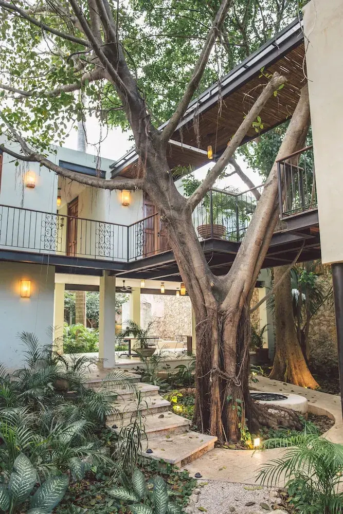Photo - TreeHouse Boutique Hotel - Adults Only