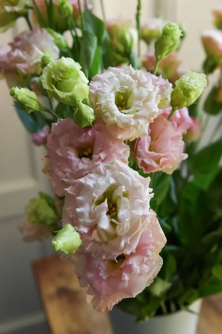 Photo - Suites Farnese Design