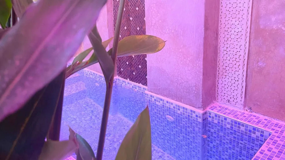 Foto - Riad Pourpre Medina