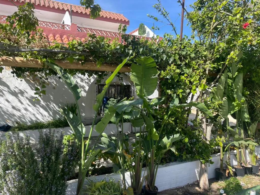 Photo - La Posada de Trafalgar