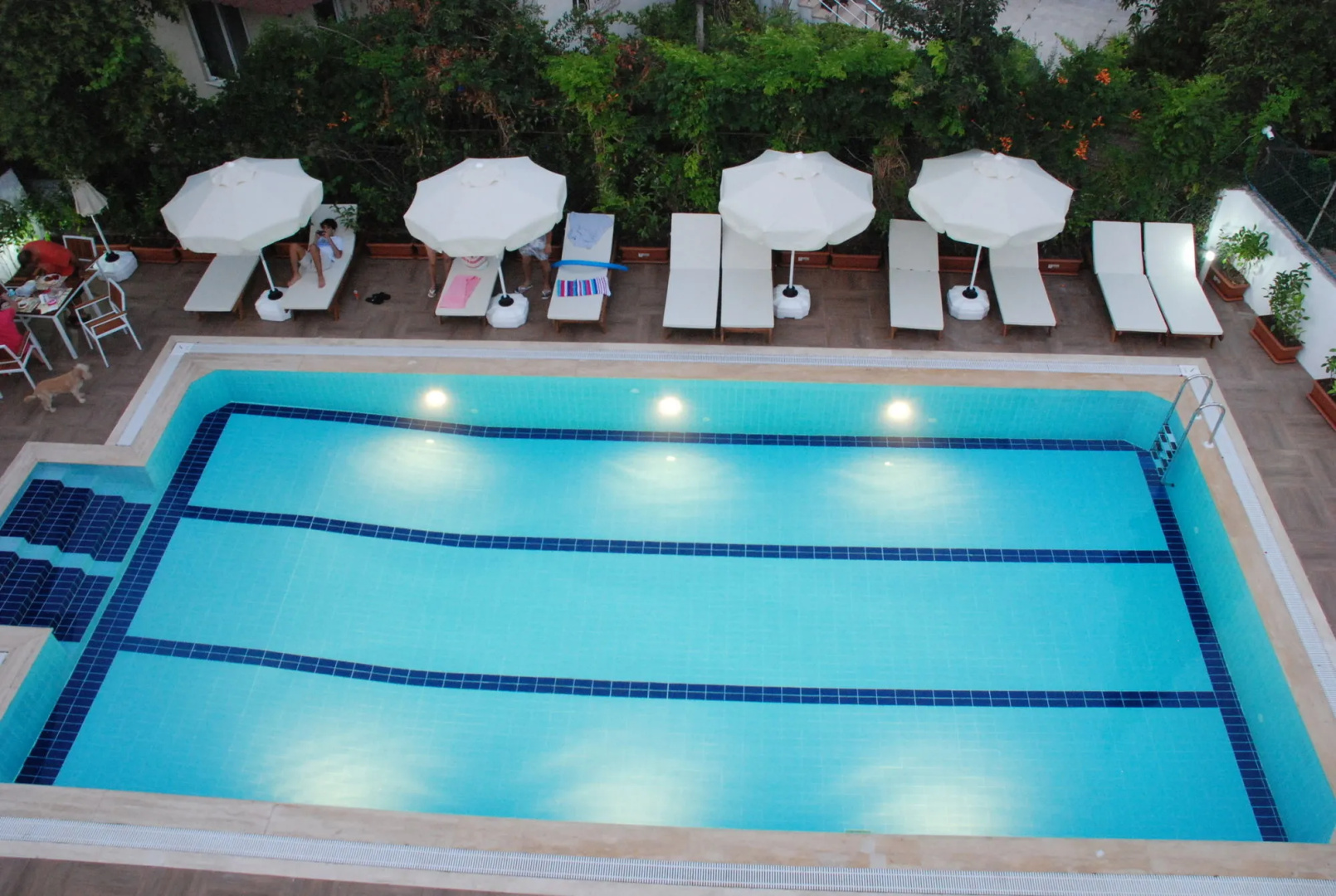 Photo - Elegance Hotel Kemer