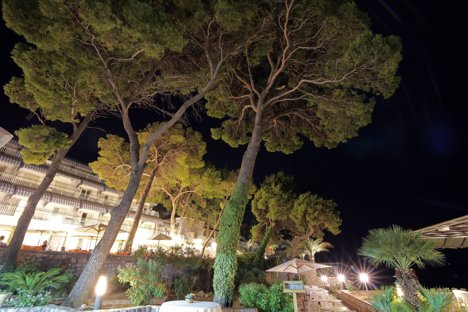 Foto - Hotel Splendid