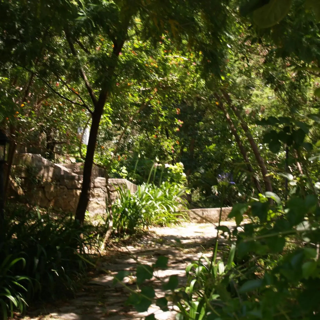 Foto - Mesón de Sancho