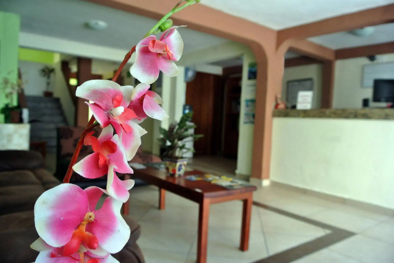 Foto - Calma Chicha Rooms