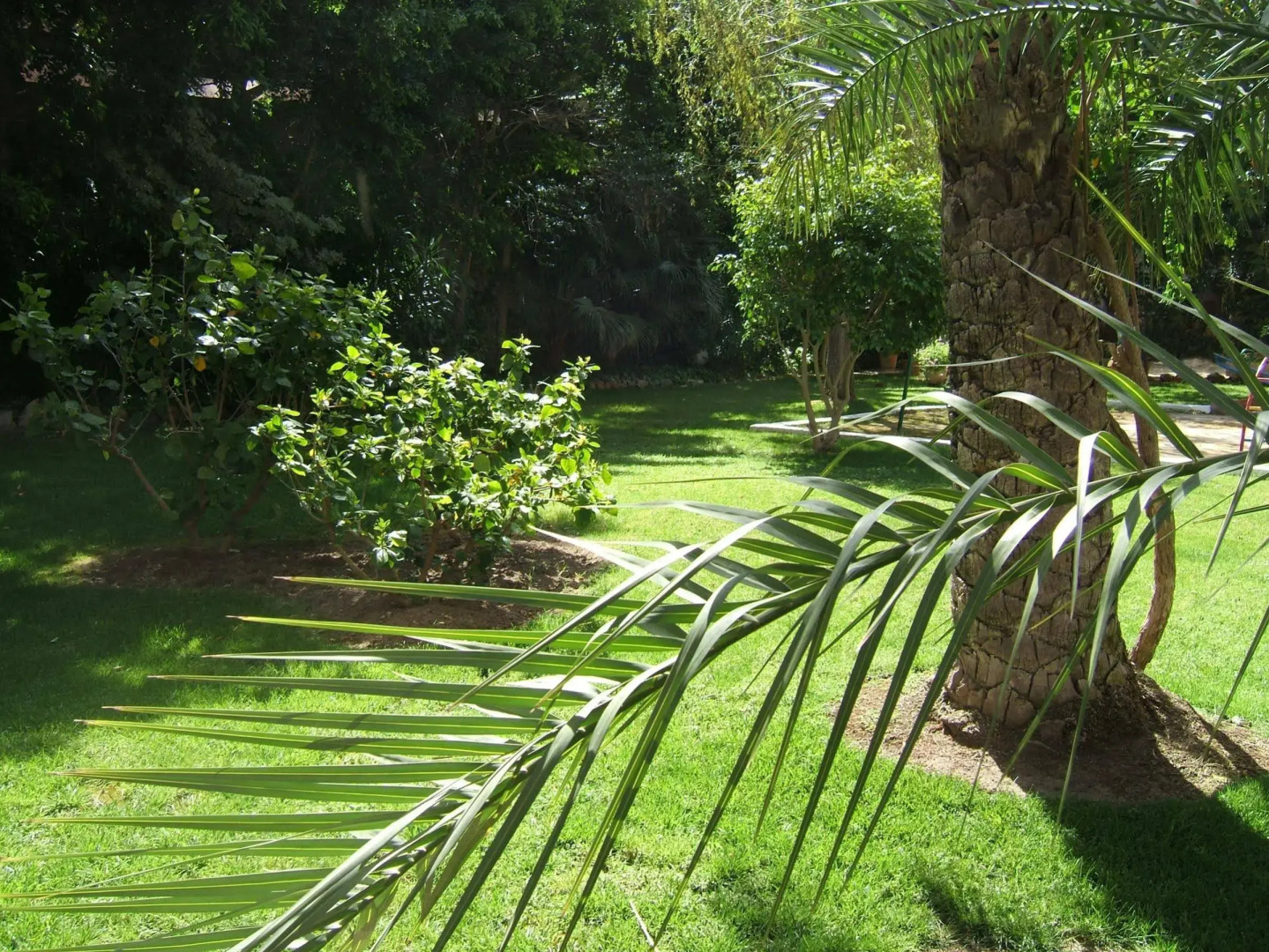 Foto - Mercure Benidorm