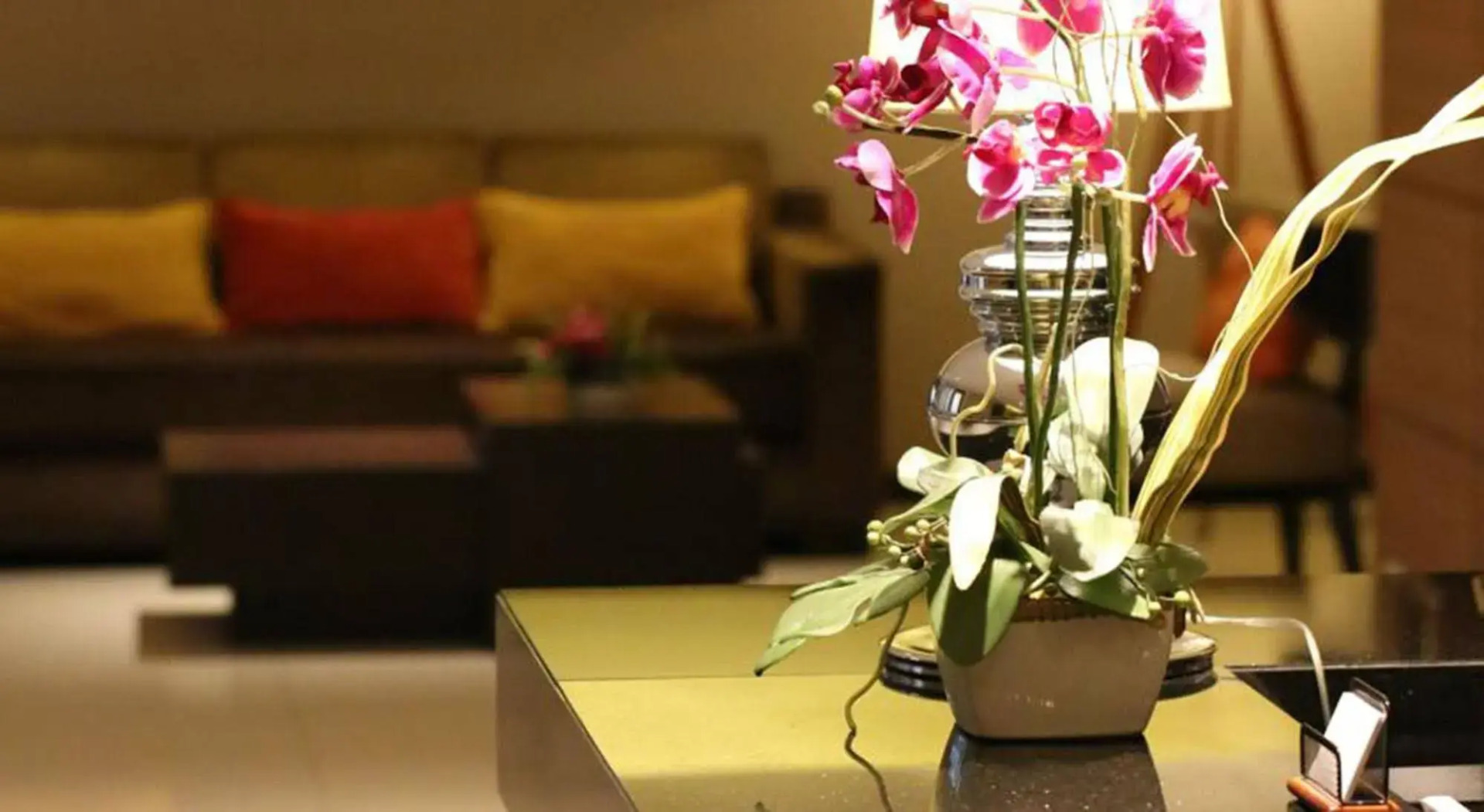 Photo - The Dawin Hotel