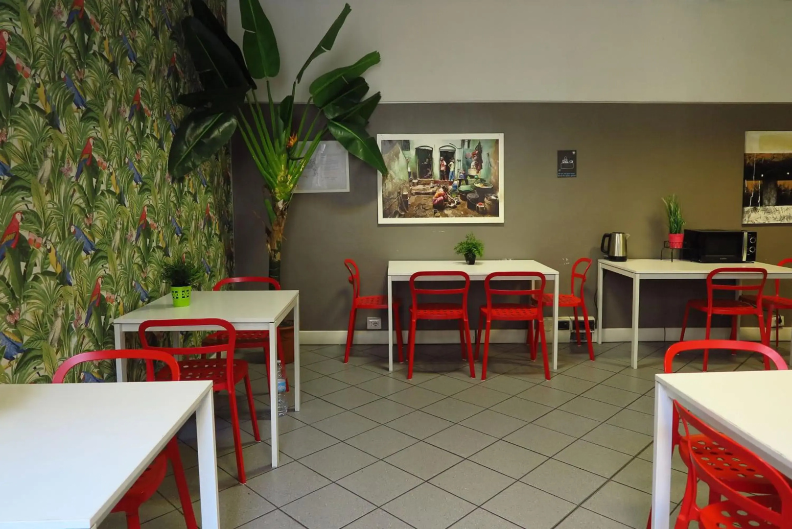 Photo - Koala Hostel