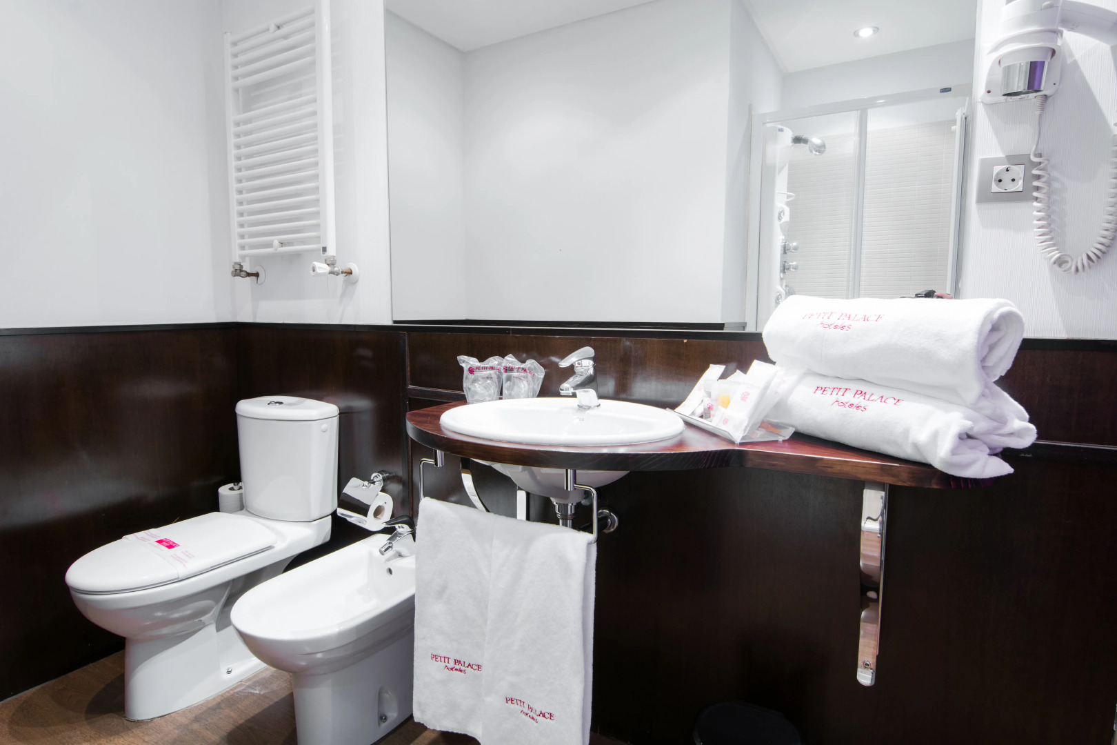 Photo - Petit Palace Arana Bilbao