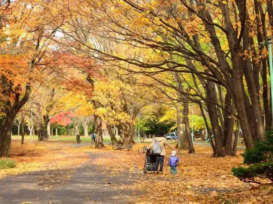 Foto - LESTEL MARU Sapporo Maruyama - Vacation STAY 15371v