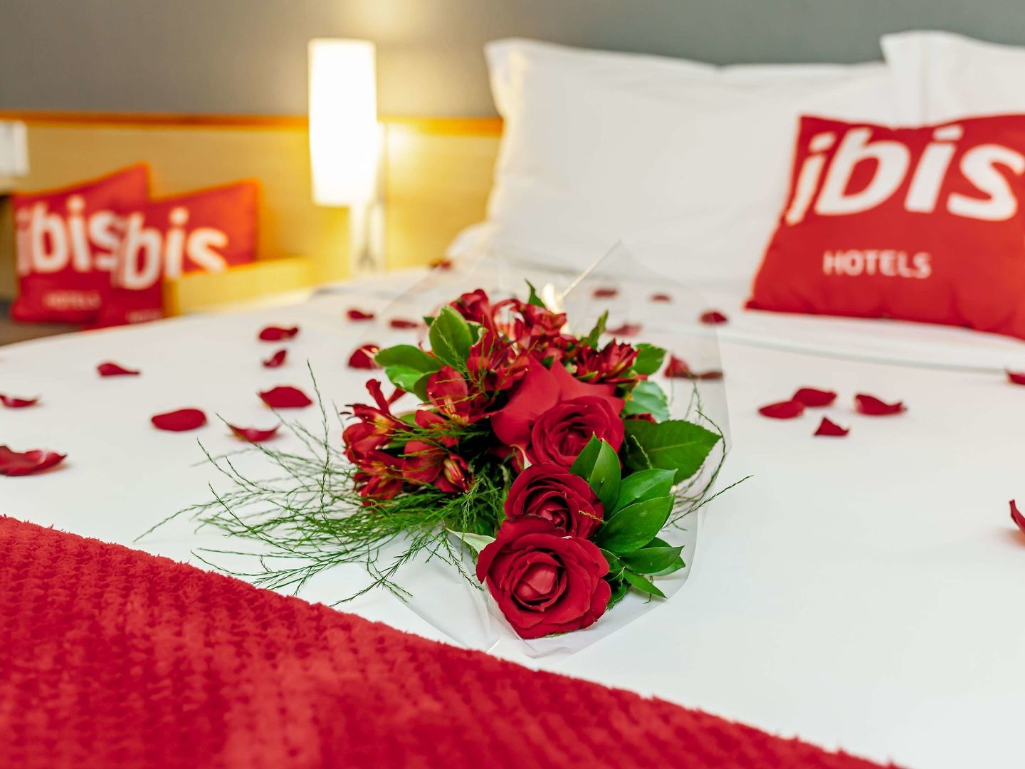 Ibis Novo Hamburgo