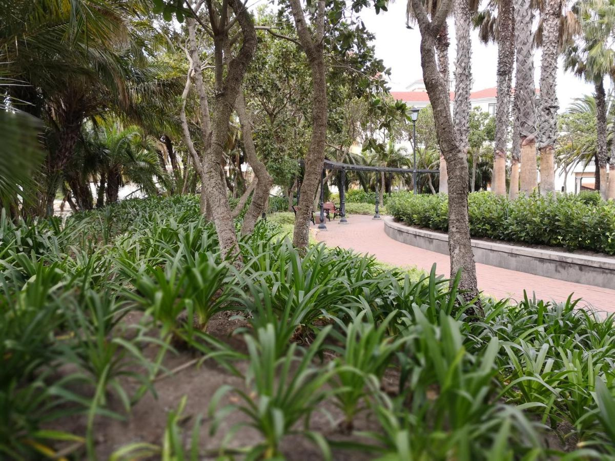 Foto - Majorca Apartments by BON Hotels