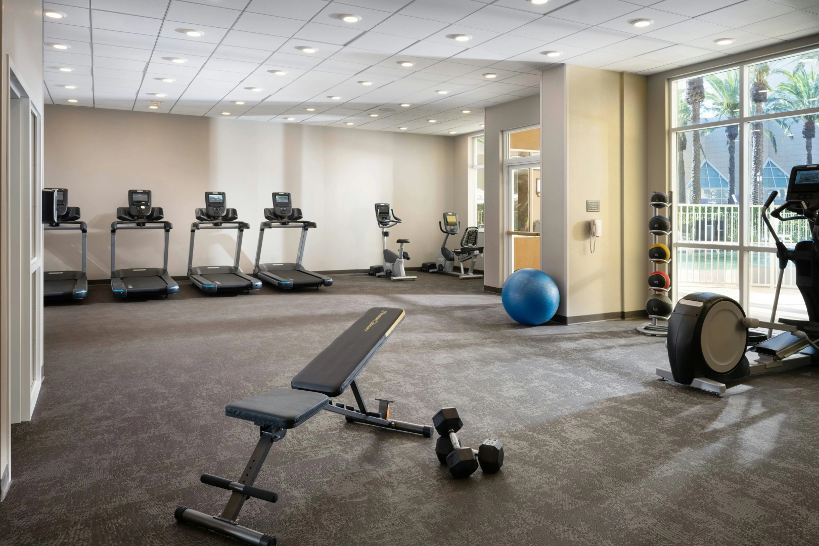 Foto - Residence Inn By Marriott Anaheim Resort Area