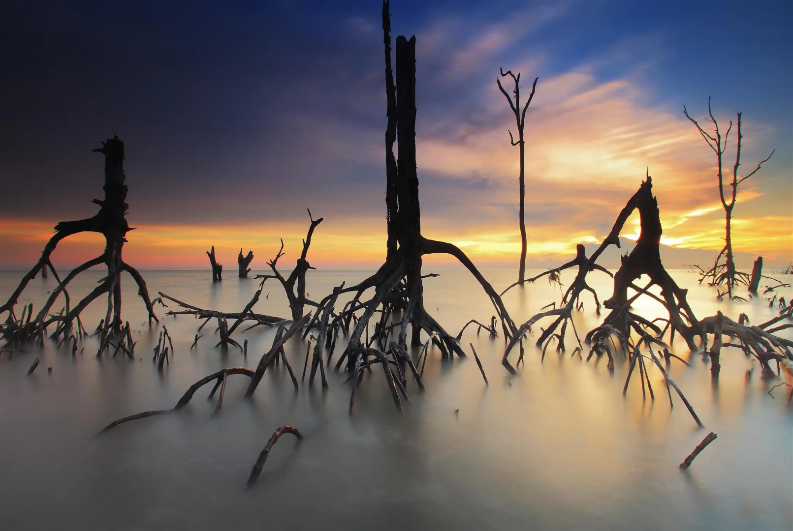 Foto - Sita Beach Resort