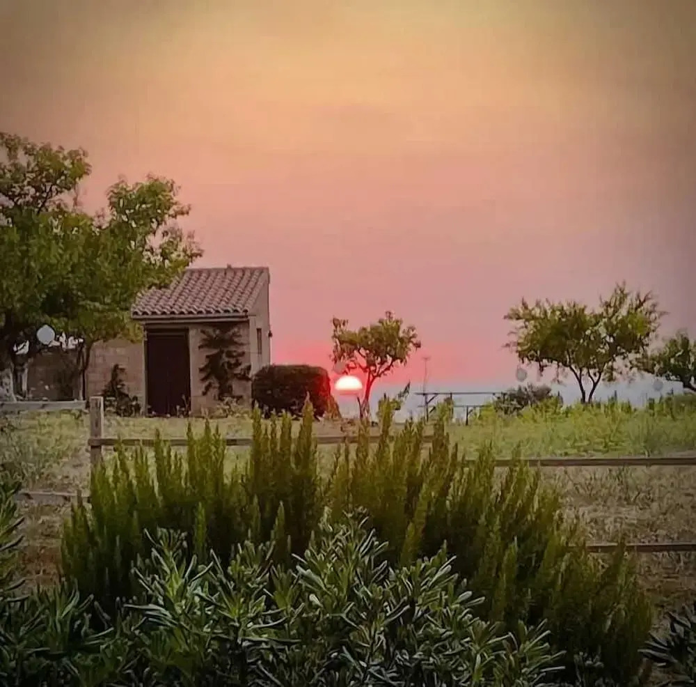 Photo - Anima Sarda Bed & Wine