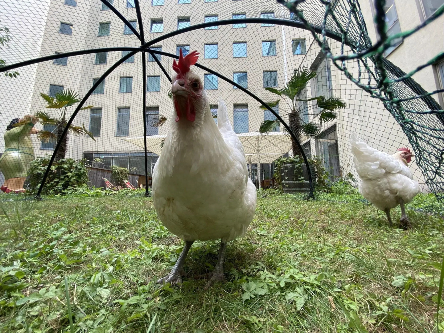 Foto - Lindner Hotel Berlin Ku'damm, part of JdV by Hyatt