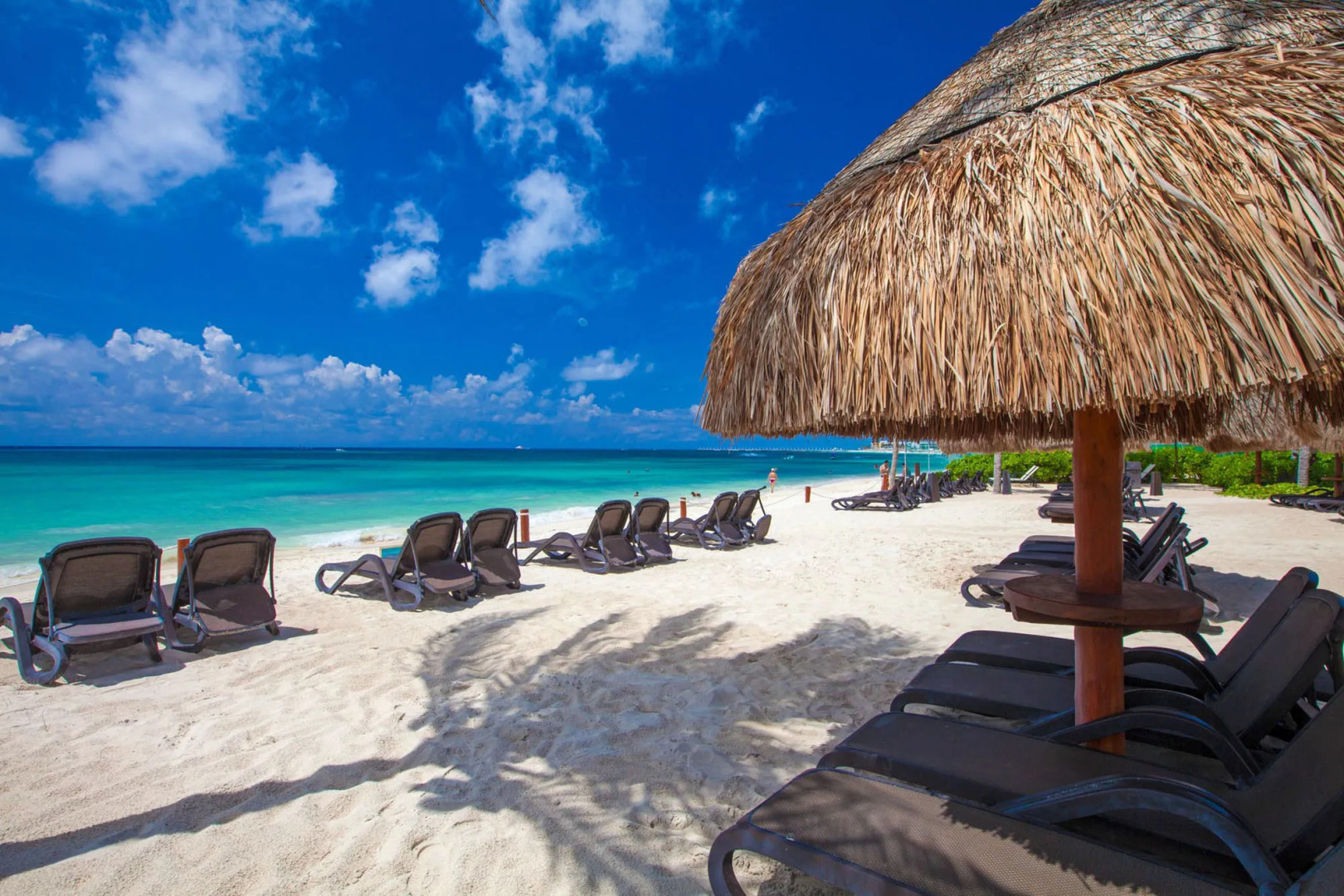 Foto - The Elements Oceanfront & Beachside Condo Hotel