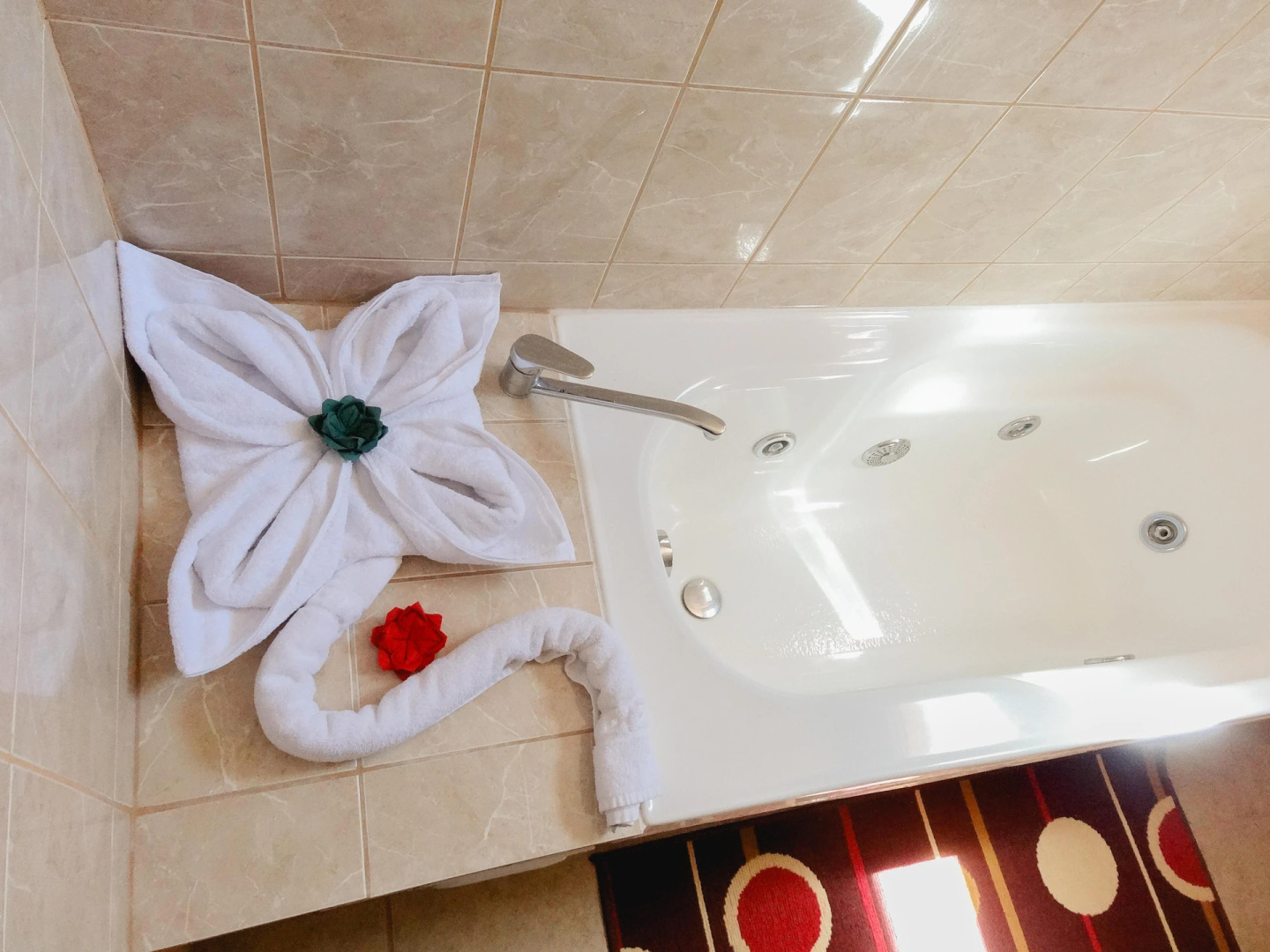 Photo - Hotel Iorana Tolache