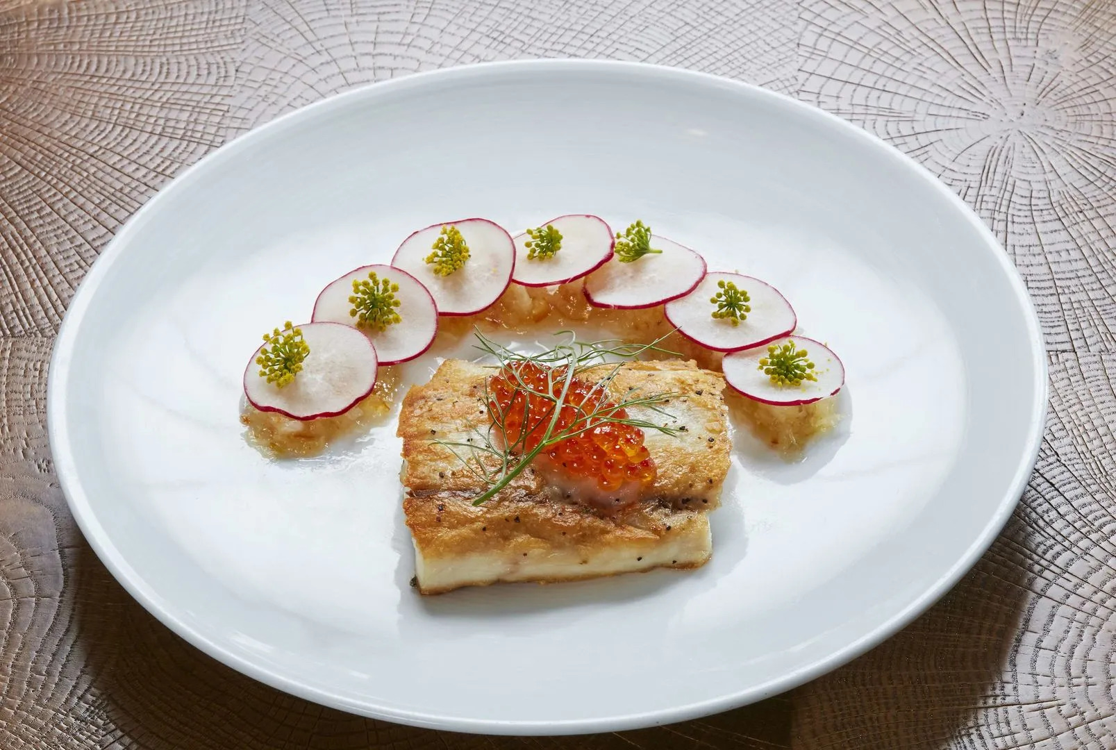 Foto - Hilton Chicago O'Hare Airport