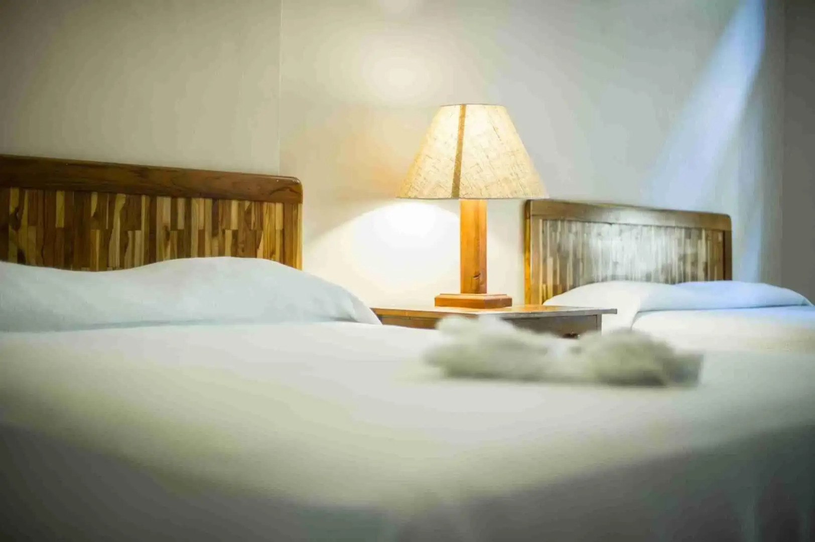 Photo - Banana Palms Hotel