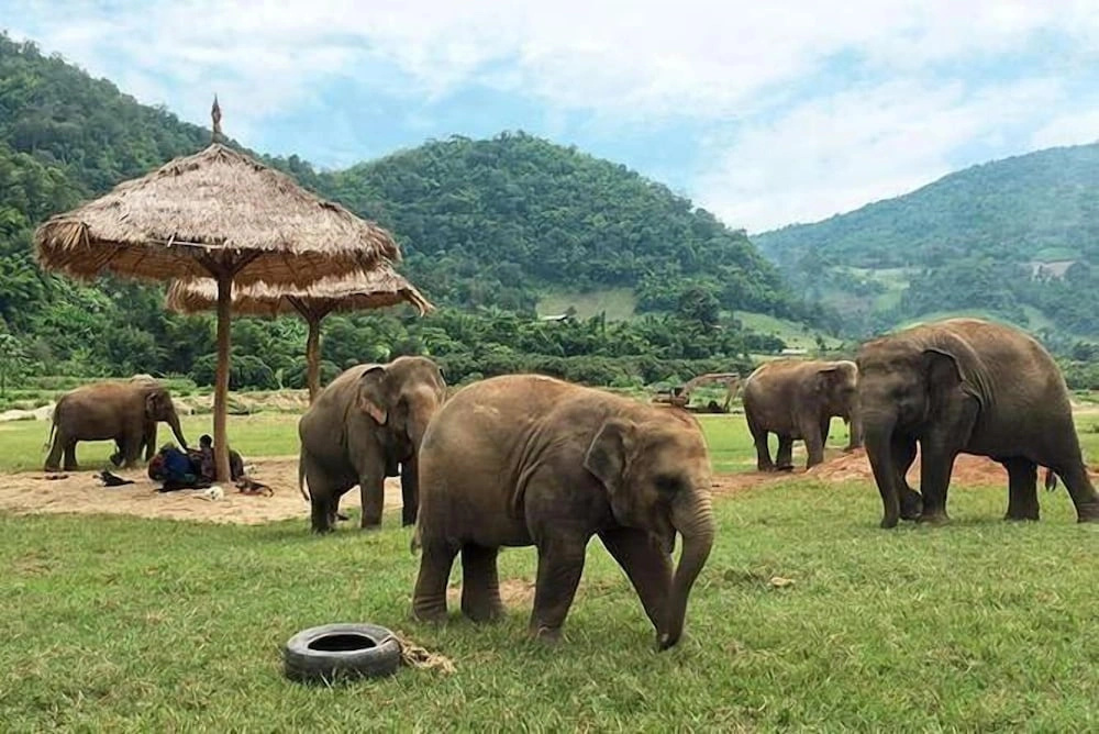 Photo - PE-LA Thapae Boutique Hotel