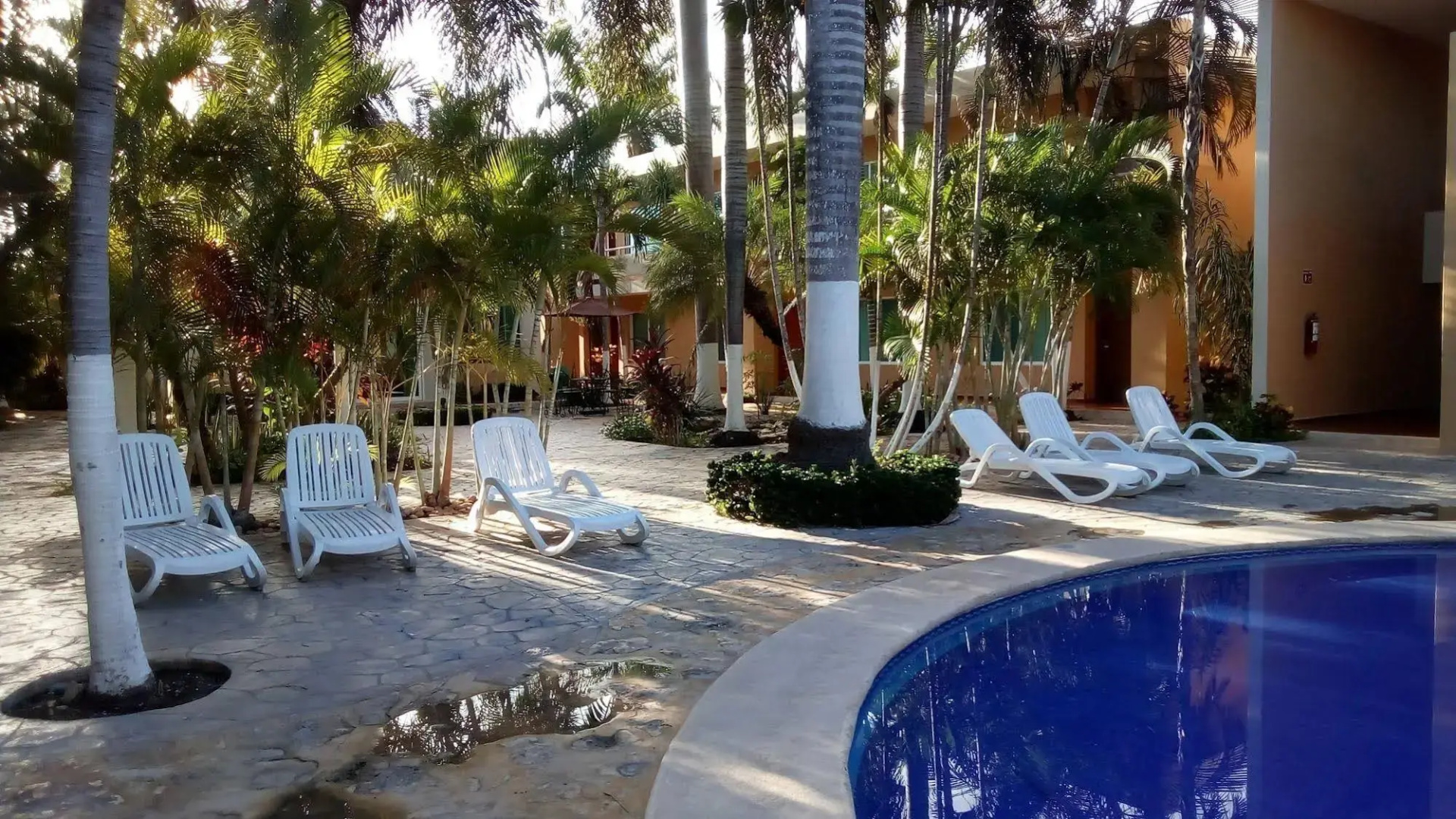 Foto - TecnoHotel Mérida Norte