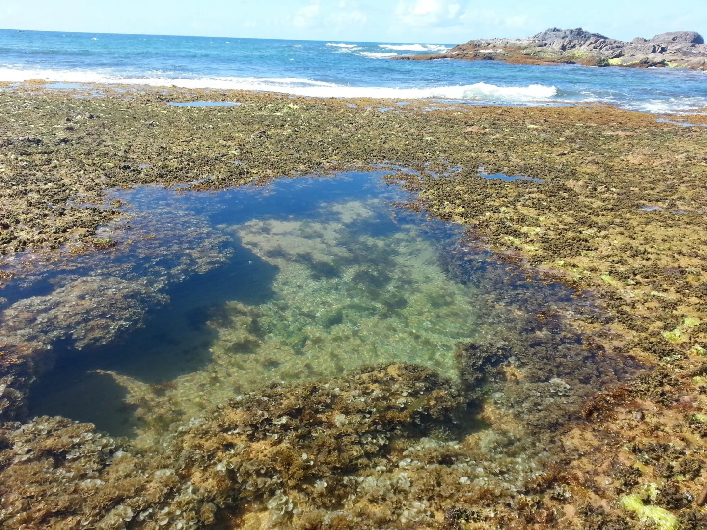 Foto - Villa Tropicale