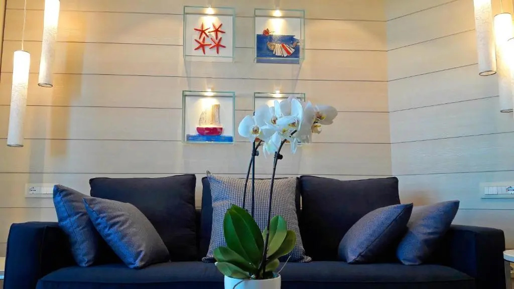 Photo - Hotel Nautico