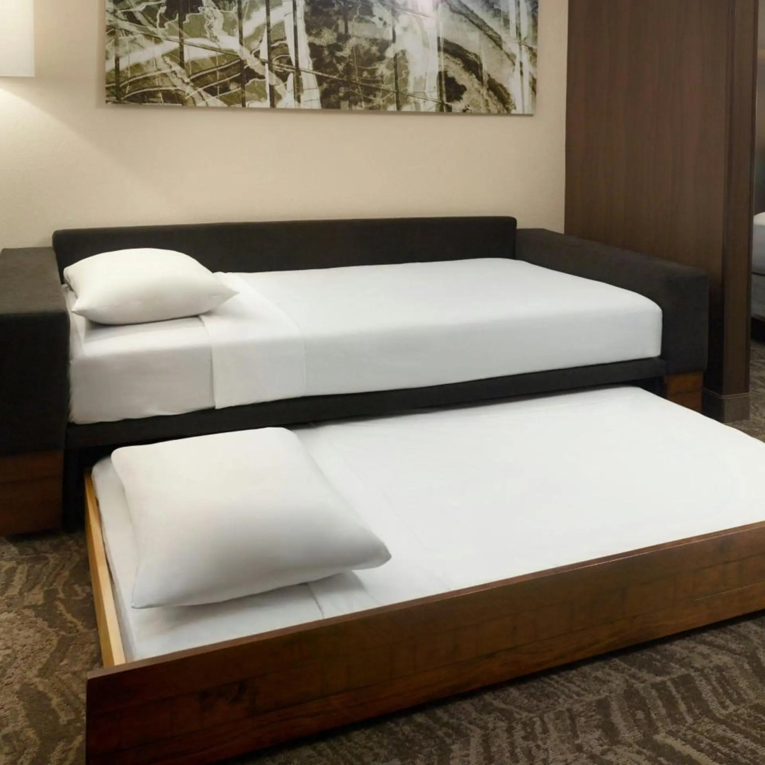 Photo - Springhill Suites By Marriott Atlanta Six Flags