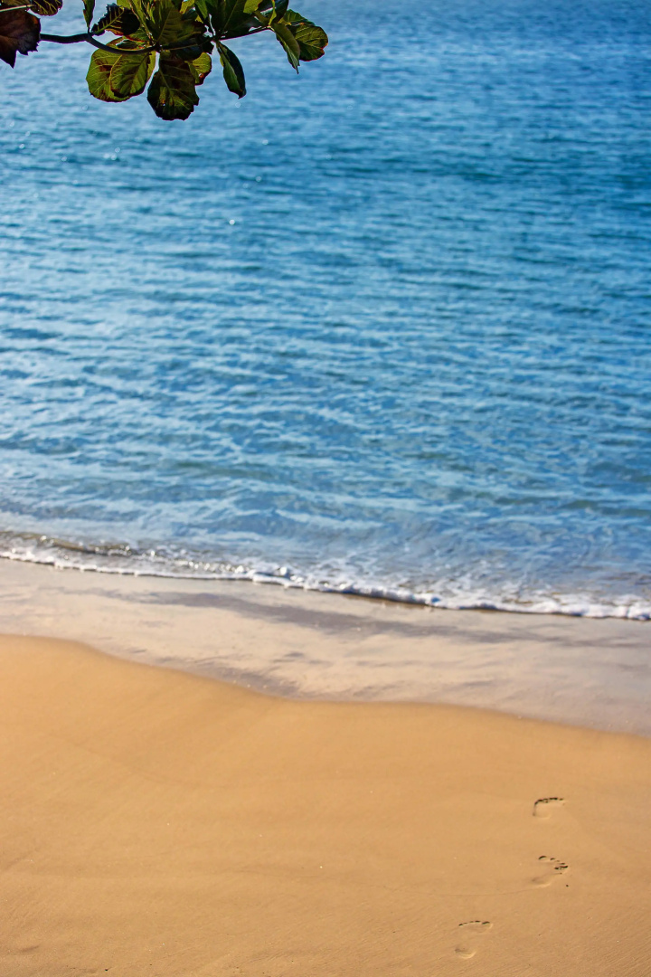 Foto - Hotel Jurerê Beach Village - OFICIAL