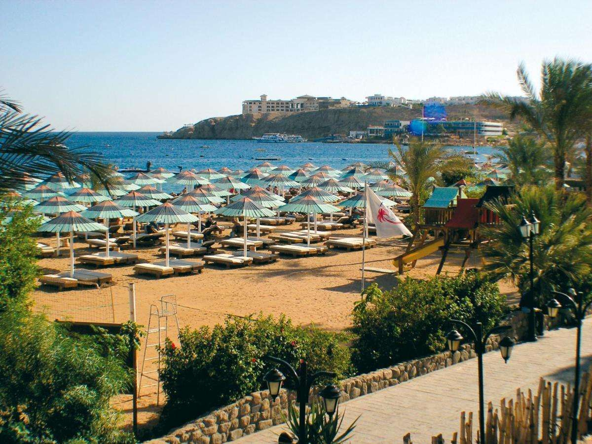 Foto - Ghazala Beach