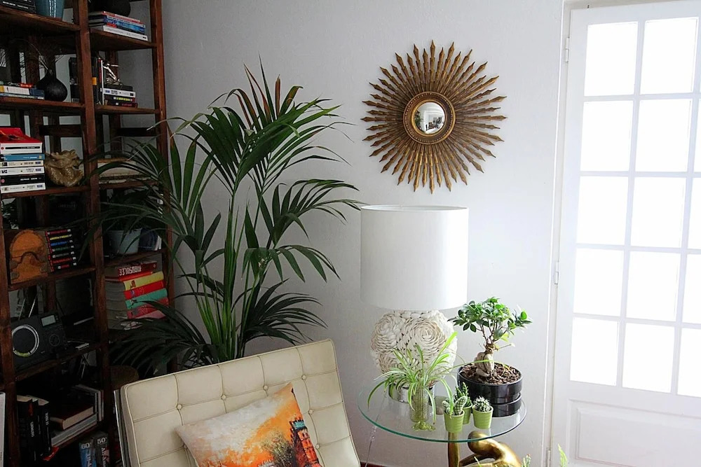 Photo - Senhora do Cabo Meco Homy Holidays