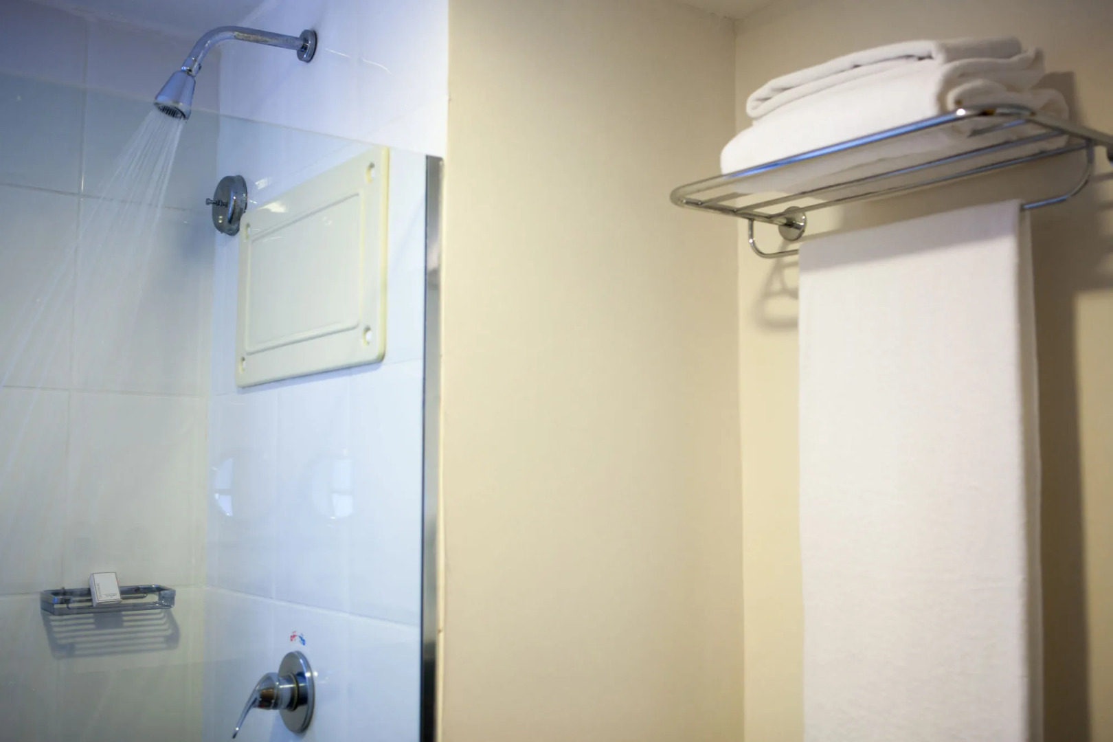 Foto - Royal Collection Paulista