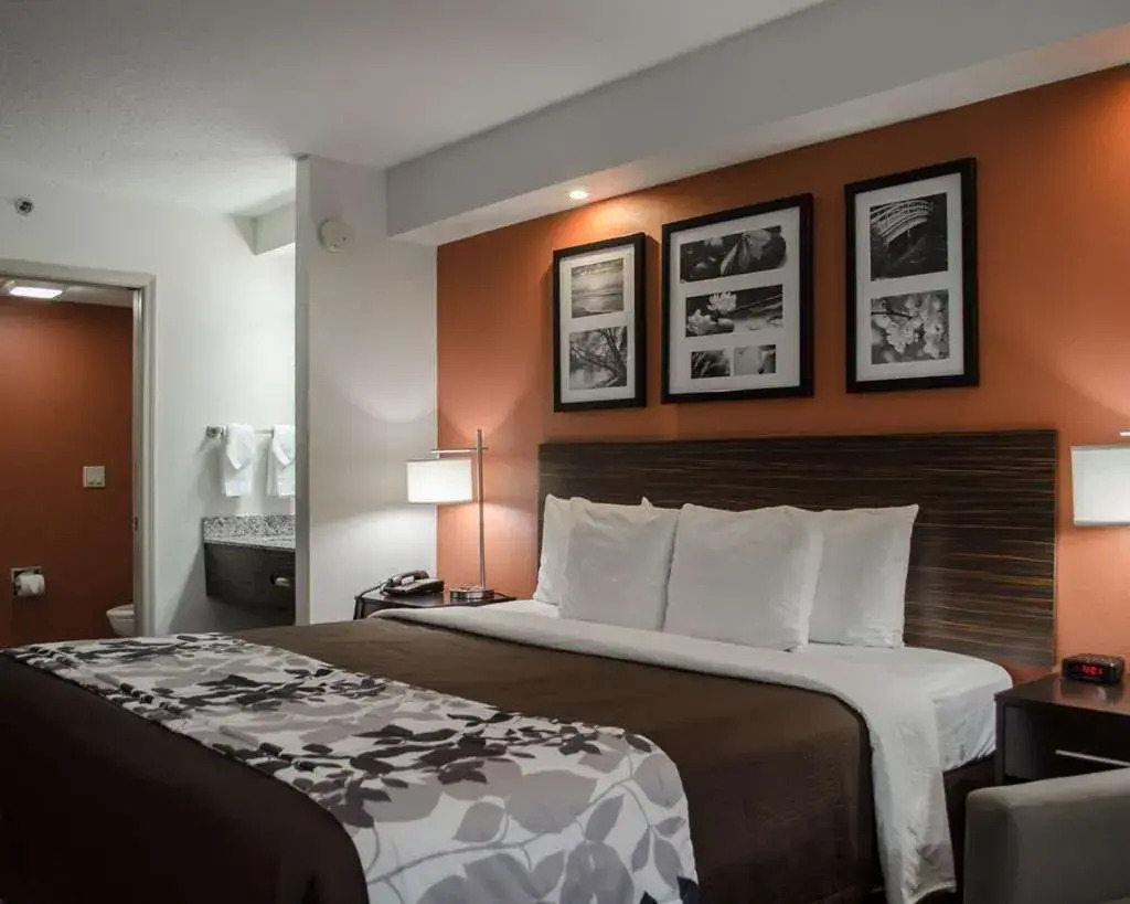 Foto - Sleep Inn Clearwater-St Petersburg