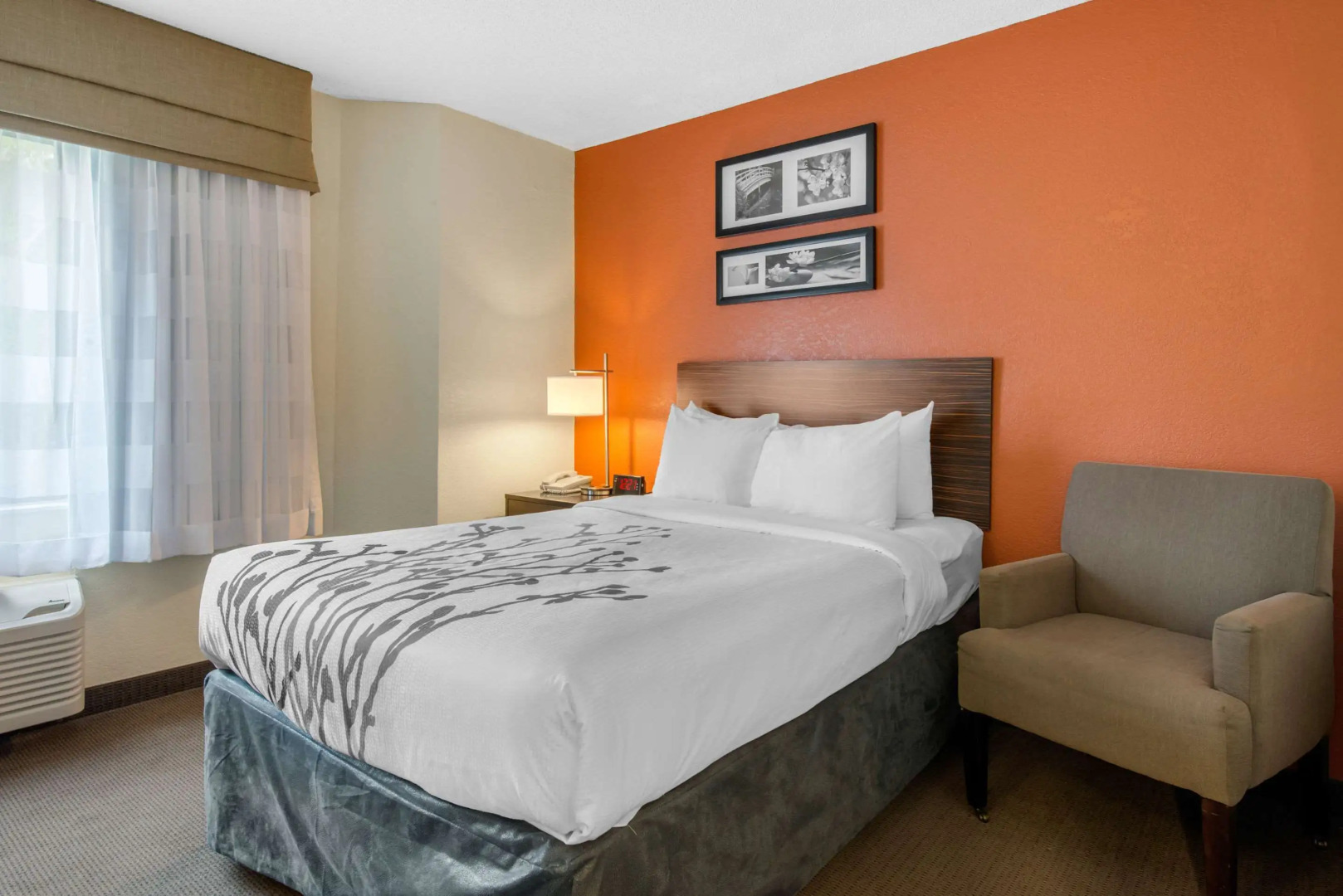 Foto - Sleep Inn Sarasota North